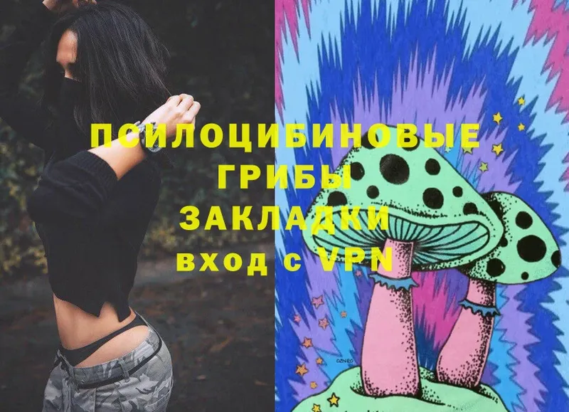 Галлюциногенные грибы Magic Shrooms  Княгинино 